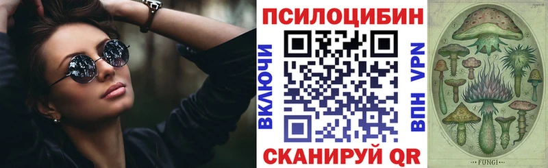 Псилоцибиновые грибы Psilocybine cubensis  Железногорск 